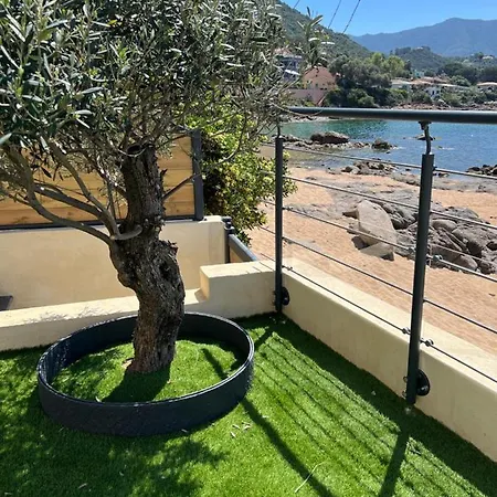 Pieds Dans L'Eau, Tiuccia, Appartement 2-4 Pers Casaglione Exterior foto